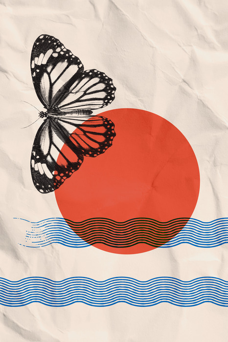 Un papillon noir sur un fond de vagues et de soleil rouge.