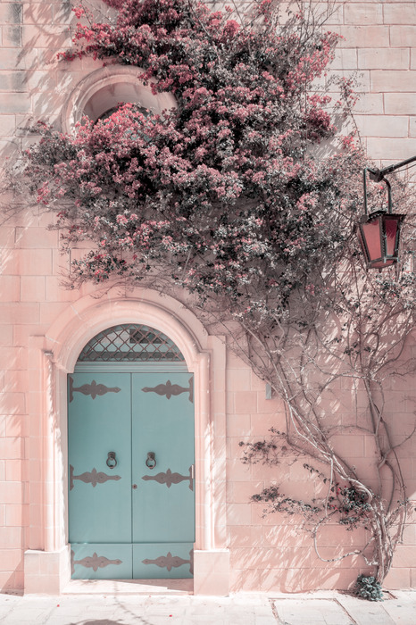 Entrée remplie de plantes avec porte bleue