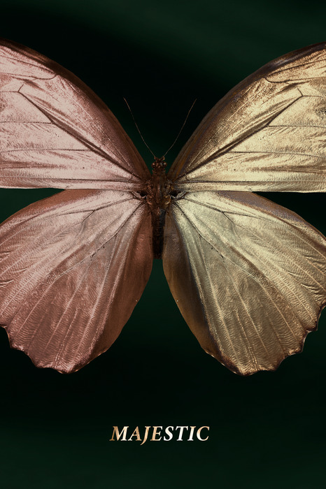 Un papillon rose et or avec le mot majestueux inscrit dessus