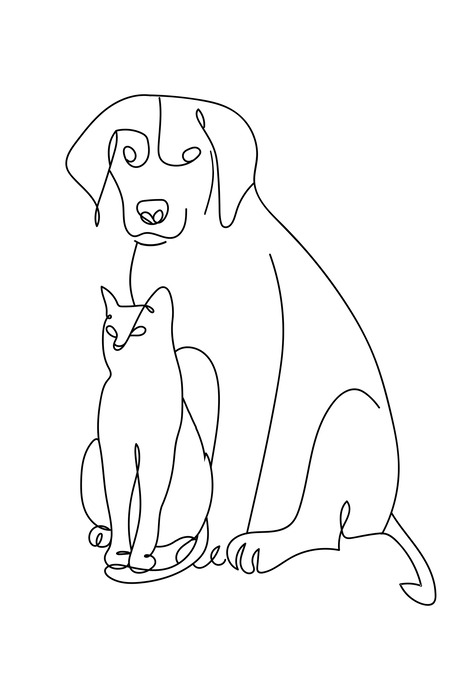 Illustration minimaliste au trait représentant un chien et un chat.