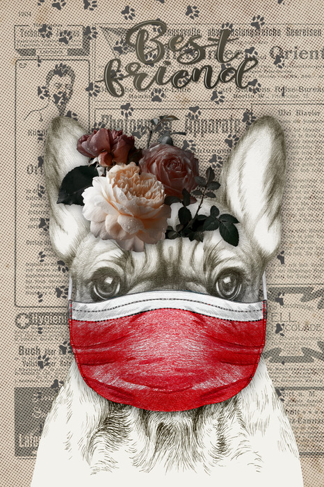 Un chien avec un masque et des roses sur la tête