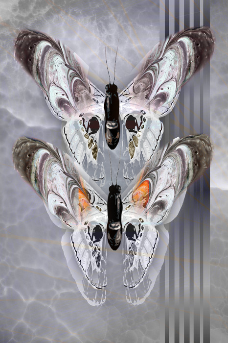Deux papillons dans une composition grise