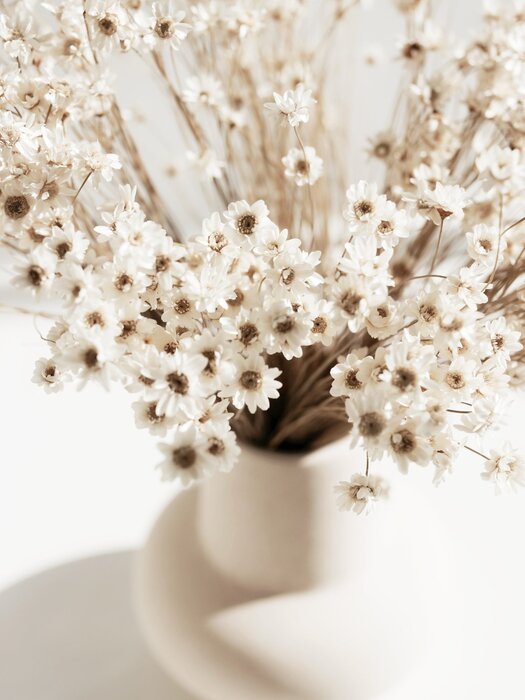 Fleurs blanches dans un vase de style bohème