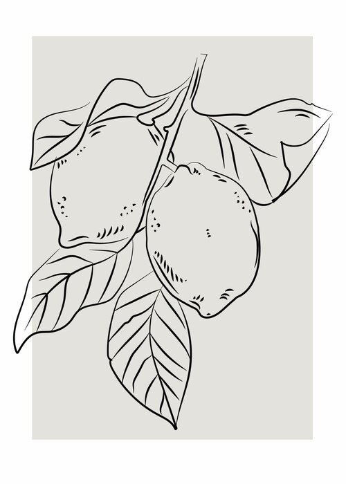 Citrons sur une branche dessin minimaliste