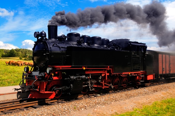 Trein met dieren op de achtergrond