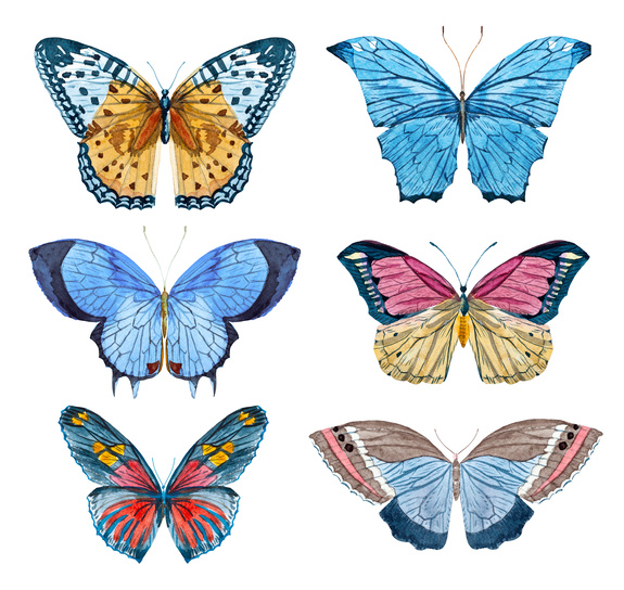 Vlinders geschilderd met aquarellen