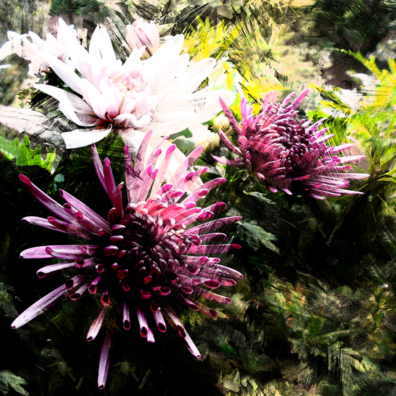 Stylized bouquet of chrysanthemums on grunge striped and stained background