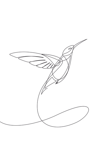 Vliegende kolibrie