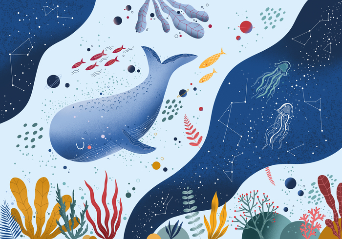 Onderwater koninkrijk