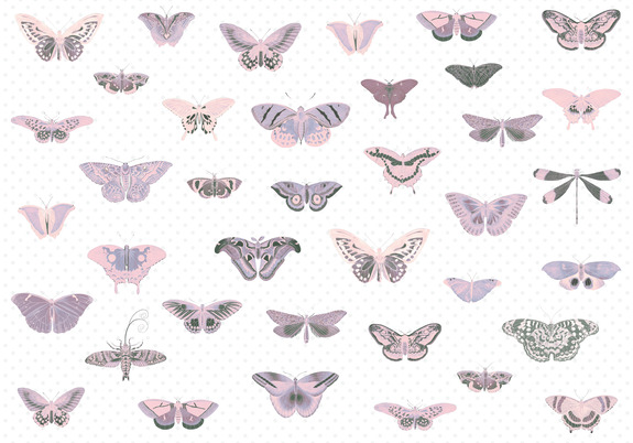 Atals van vlinders