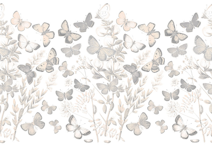 Weide op een zonnige dag