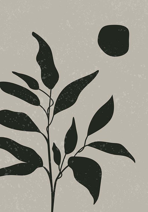 Plant in zwart en grijs