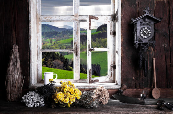 Room in a country house with a view through the window