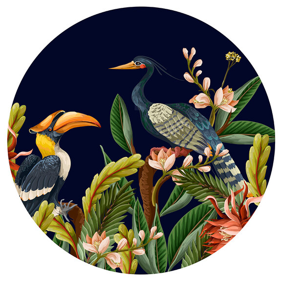 Exotische vogels als illustratie