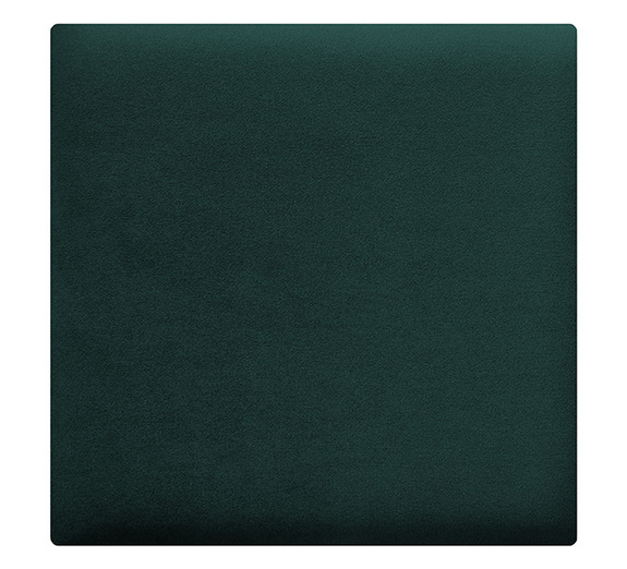 Wandkussen  30x30 fles groen vierkant