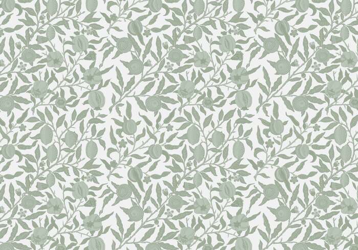 Plantengroei dofgroen