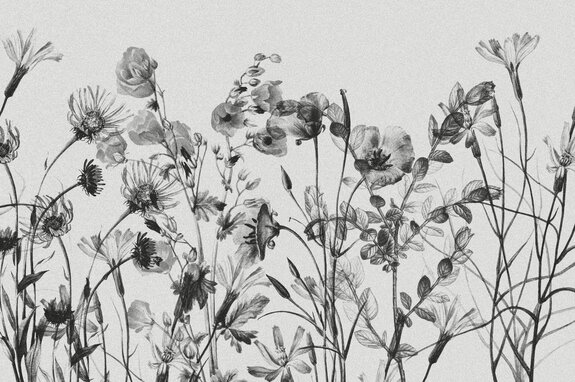Zwart-wit botanisch patroon met wilde bloemen