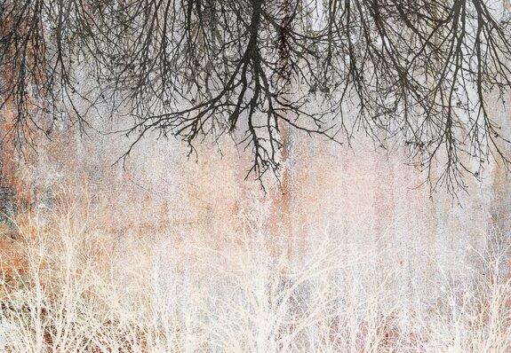 Een compositie met boomtakken in een vintage motief