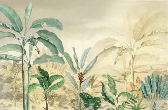 Tropische bomen en bladeren in een mistig bos