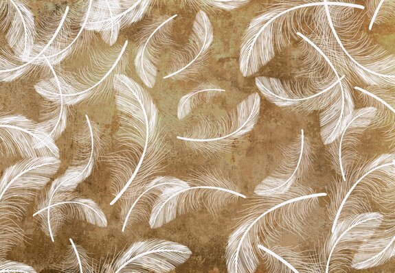 Witte veren op betonnen compositie