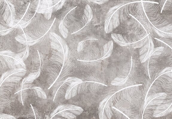 Witte veren op een grijze betonnen achtergrond