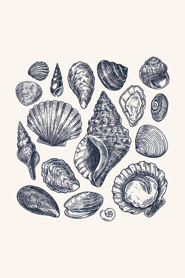 Schelpjes op een beige achtergrond