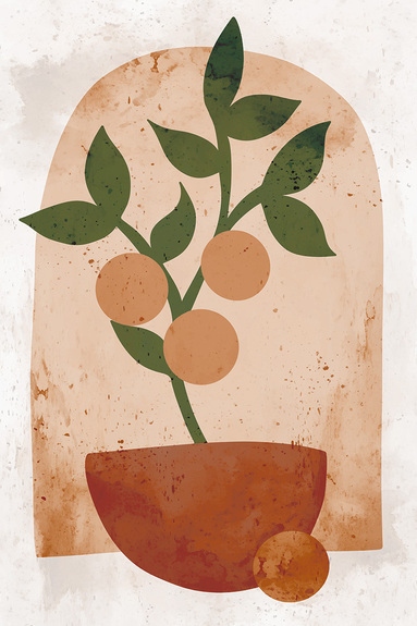 Sinaasappelboompje in pot