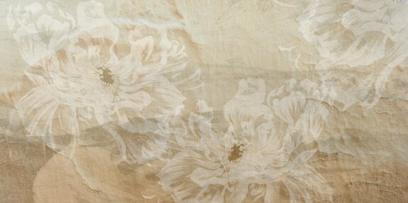 Felgekleurde pioenrozen