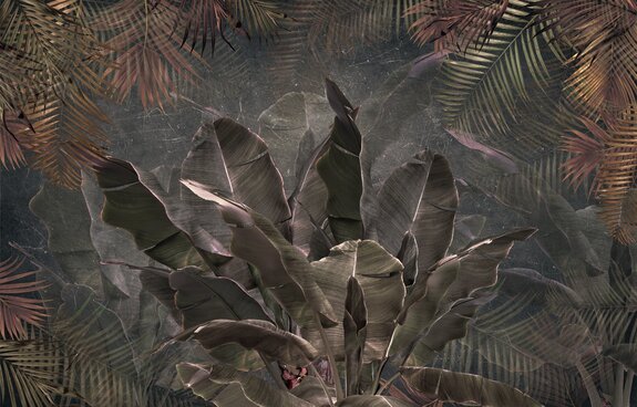 Tropische planten palm- en bananenbladeren