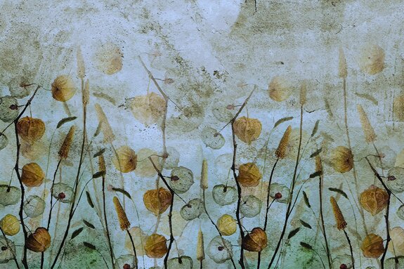 Herfstweide met wilde planten