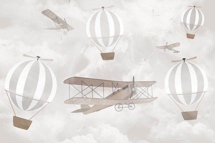 Ballonnen en vliegtuigen in de lucht