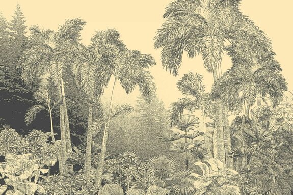 Een schets van de weelderige plantkunde van een bos in sepia