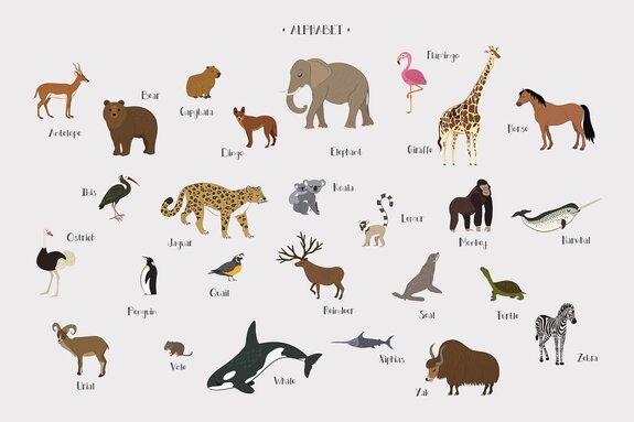 Alfabet en dieren in kinderstijl