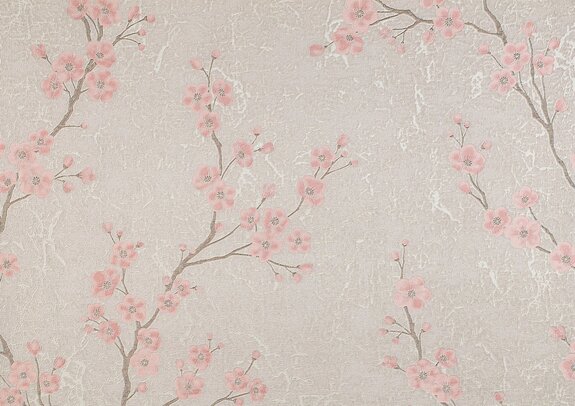 Delicate roze kersenbloesems op de takken