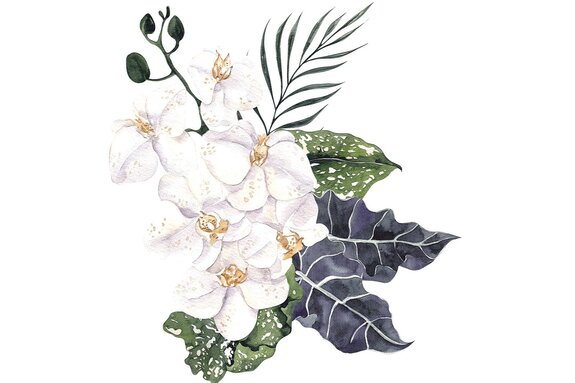 Witte orchideeën tussen groene bladeren