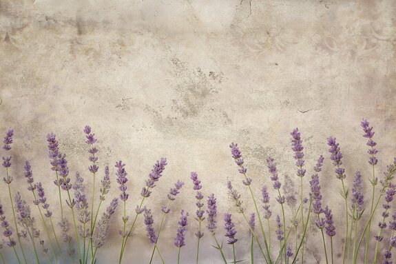Lavendel op een beige muur