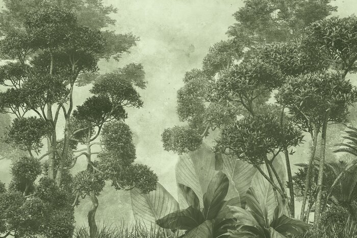 Tropisch mistig bos in een groen natuurlijk exotisch landschap