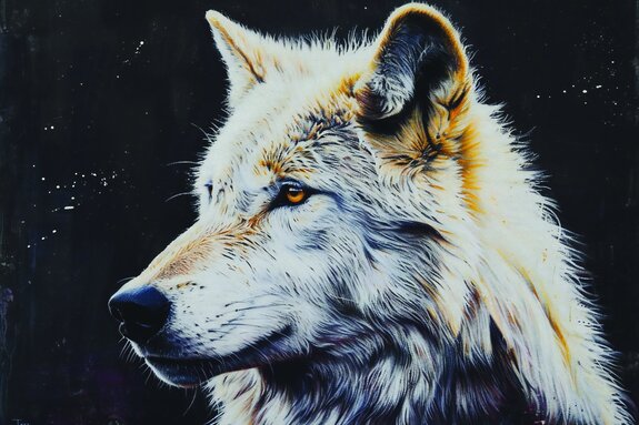 Portret van een wolf met een contrasterende donkere achtergrond