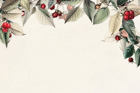 Lijsterbestakjes met rode vruchten en groene bladeren