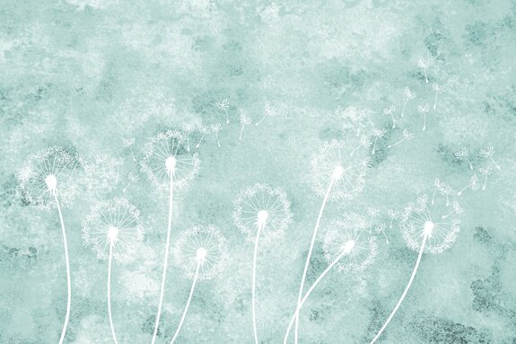 Delicate paardenbloemen op een blauwe achtergrond