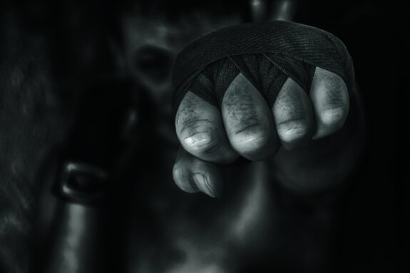 Bokser in een dynamische pose