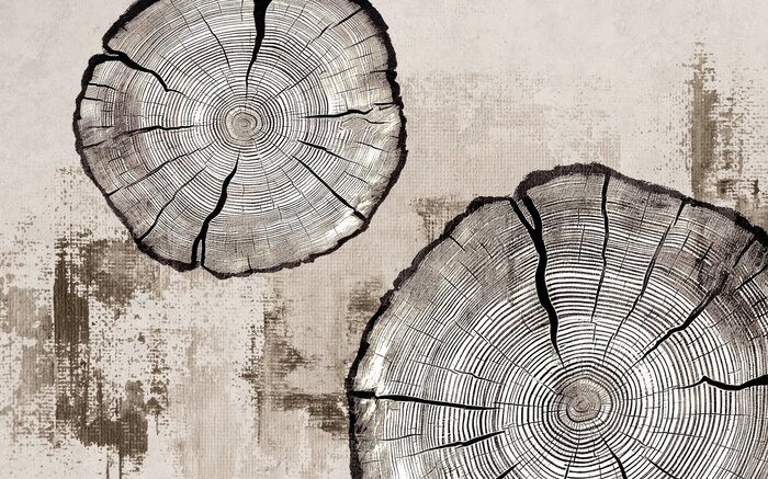 Boomstamringen op een beige textuur