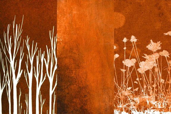 Boomtakken met delicate grassen op de achtergrond