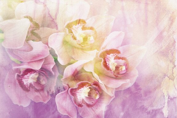 Een artistiek geschilderde orchidee in roze