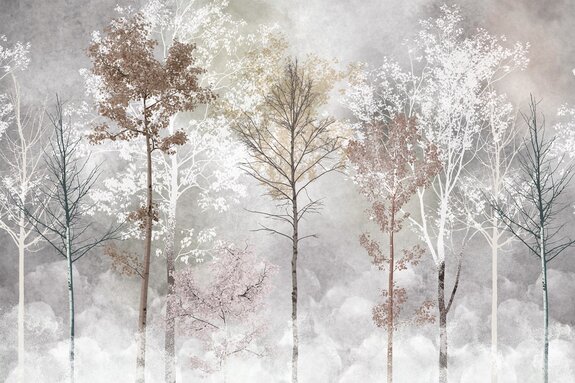 Berkenbomen in de mist, een schilderachtig landschap