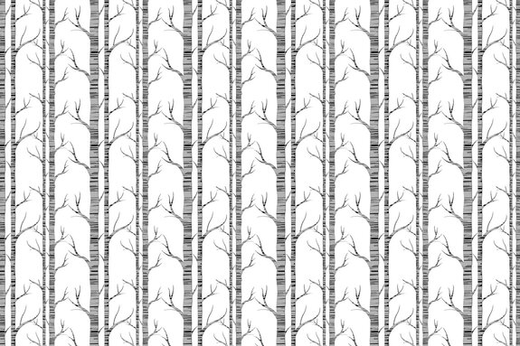 Grijze berkenbomen met twijgen