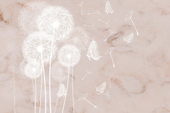 Witte paardenbloemen en vlinders op een marmeren achtergrond, abstract patroon