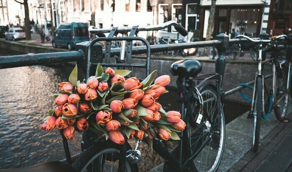 Fiets met tulpen
