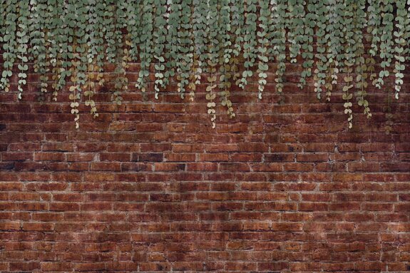 Groene planten hangen tegen een bakstenen muur