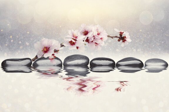 Roze orchidee en zenstenen weerspiegeld in het water